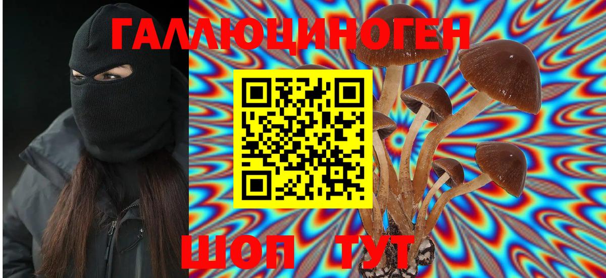 Галлюциногенные грибы Magic Shrooms Рузаевка