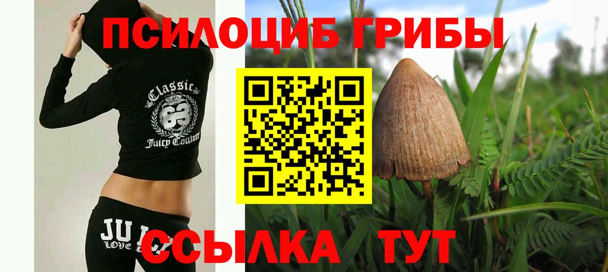 Псилоцибиновые грибы Psilocybe  магазин    Рузаевка  Вход с VPN 